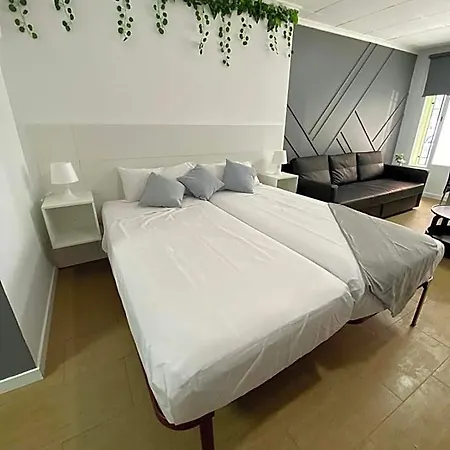 Optimus Comfort * Valencia